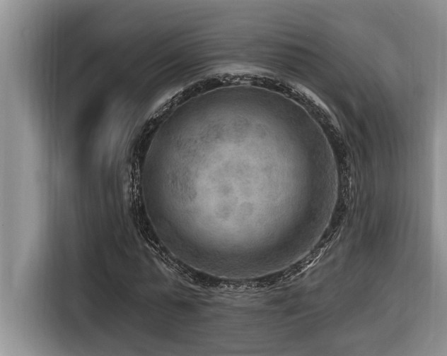 X0000116550775200912101413