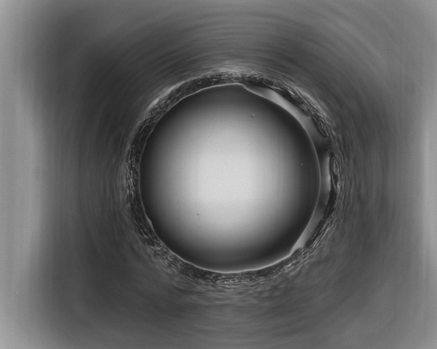 X0000116550776200912101413