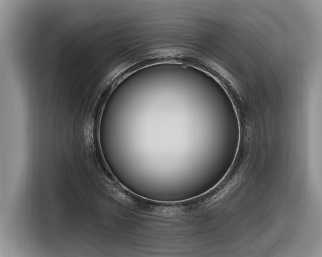 X0000116550778200912101413