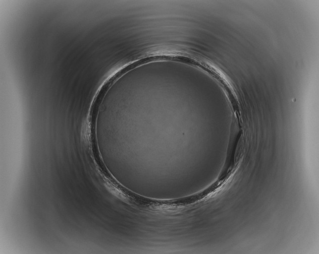 X0000116550779200912101412