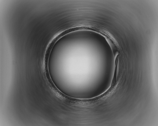 X0000116550780200912101412