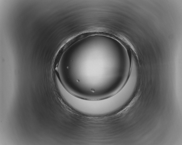 X0000116550781200912101412