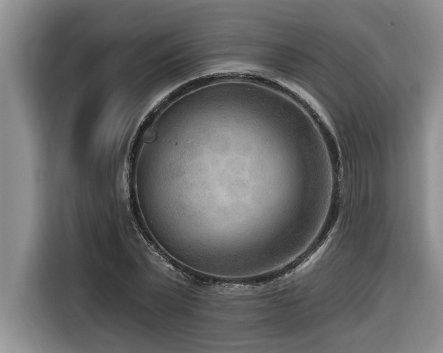 X0000116550783200912101412