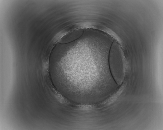 X0000116550785200912101412