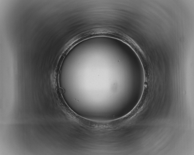 X0000116550786200912101412