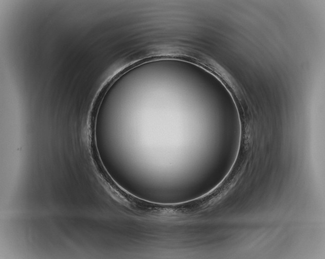 X0000116550787200912101412