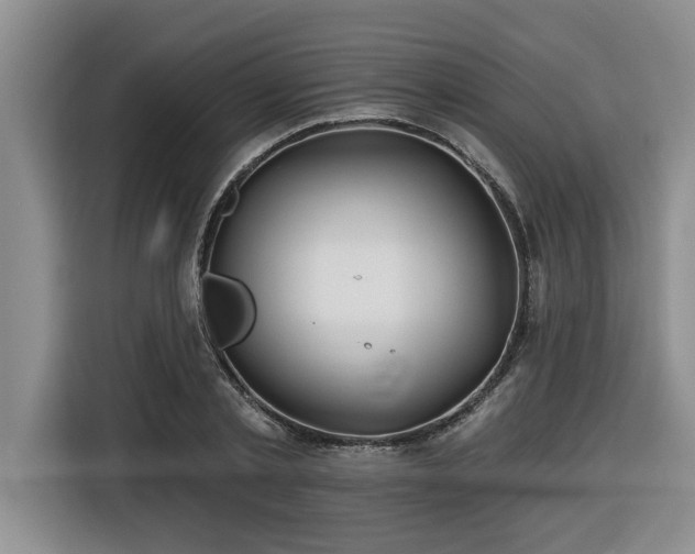 X0000116550789200912101412