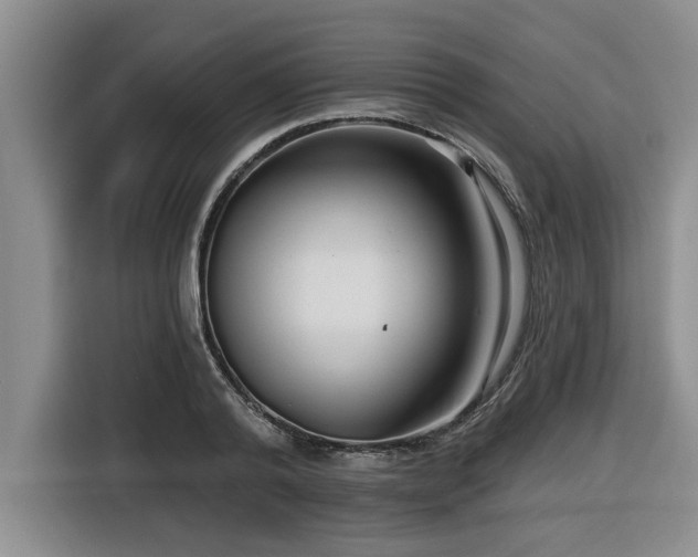 X0000116550792200912101412