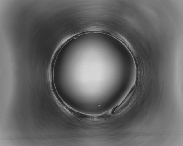 X0000116550795200912101412