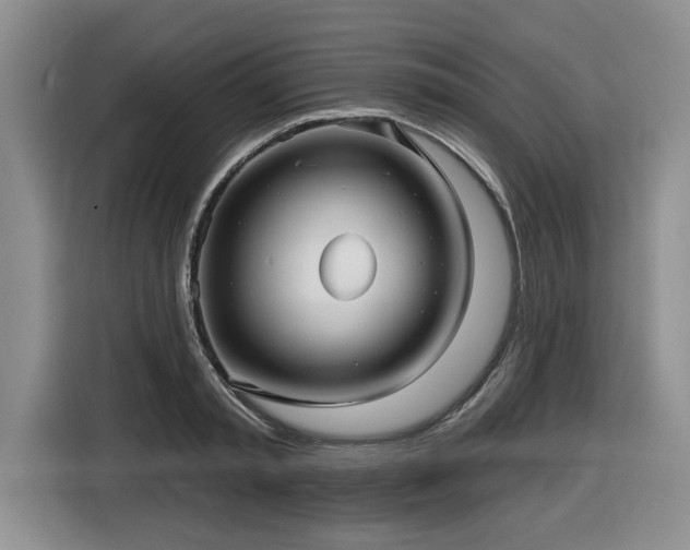 X0000116550797200912101412