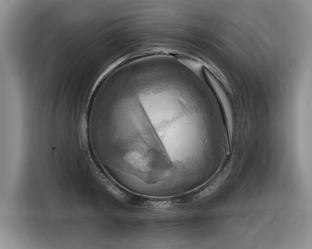 X0000116550798200912101412