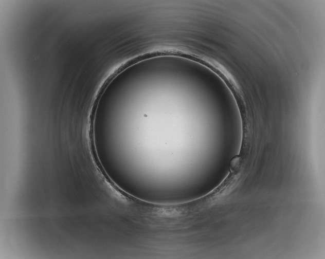 X0000116550799200912101412