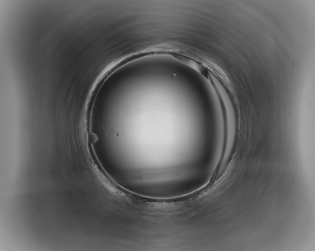 X0000116550800200912101412