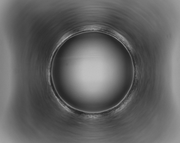 X0000116550802200912101412