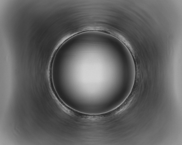 X0000116550803200912101412