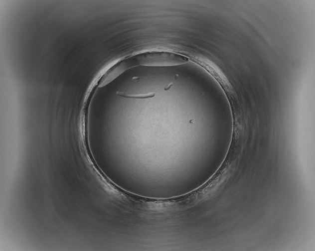 X0000116550804200912101412