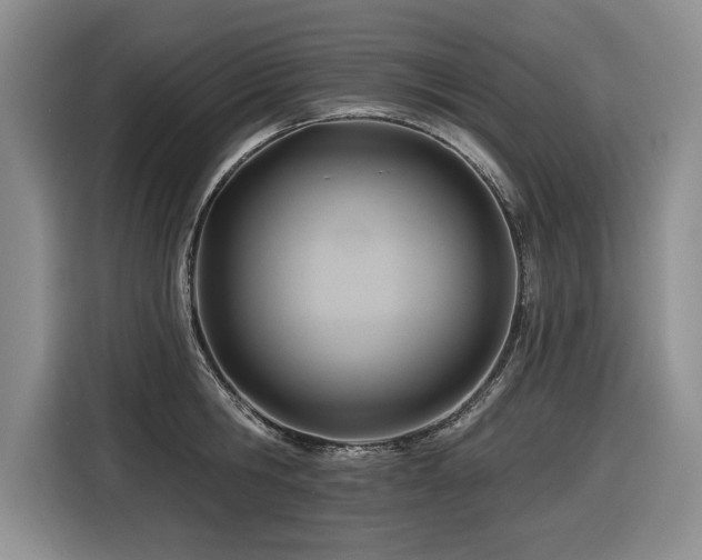 X0000116550806200912101412