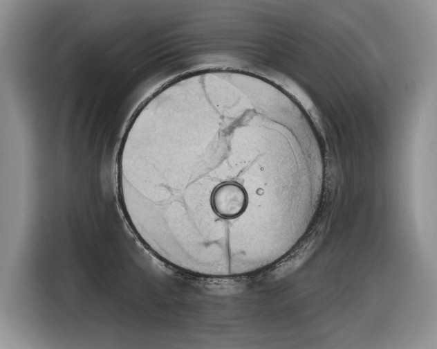 X0000116550807200912101412