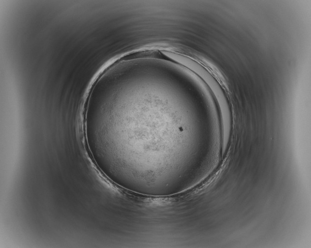 X0000116550808200912101412