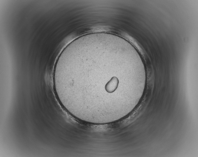 X0000116550810200912101412