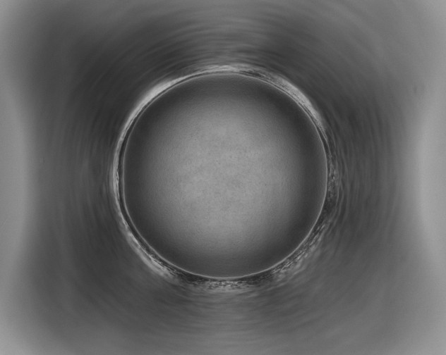 X0000116550811200912101412