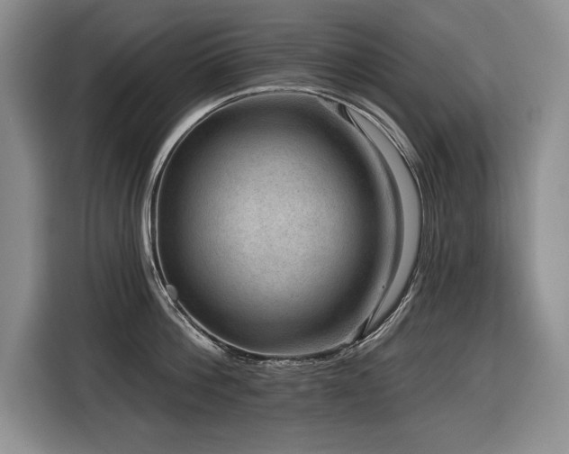 X0000116550812200912101412