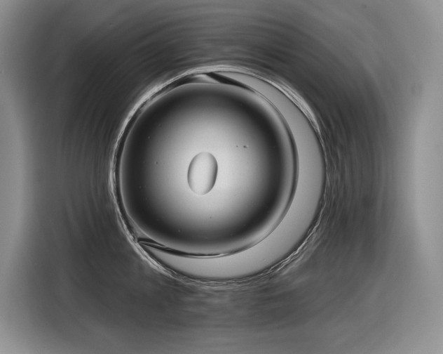 X0000116550813200912101412