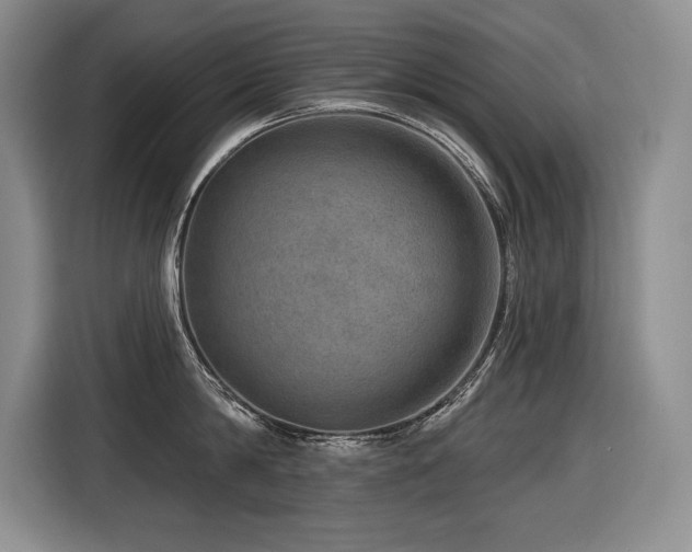 X0000116550814200912101412