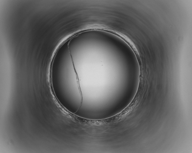 X0000116550815200912101412