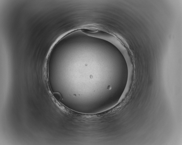 X0000116550816200912101412