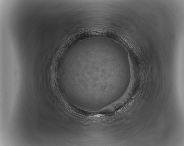 X0000116550817200912101411