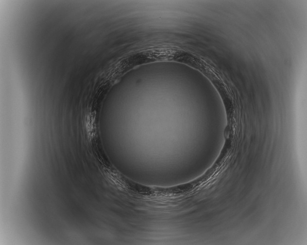 X0000116550818200912101411