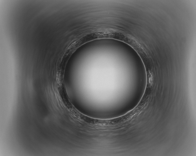 X0000116550819200912101411