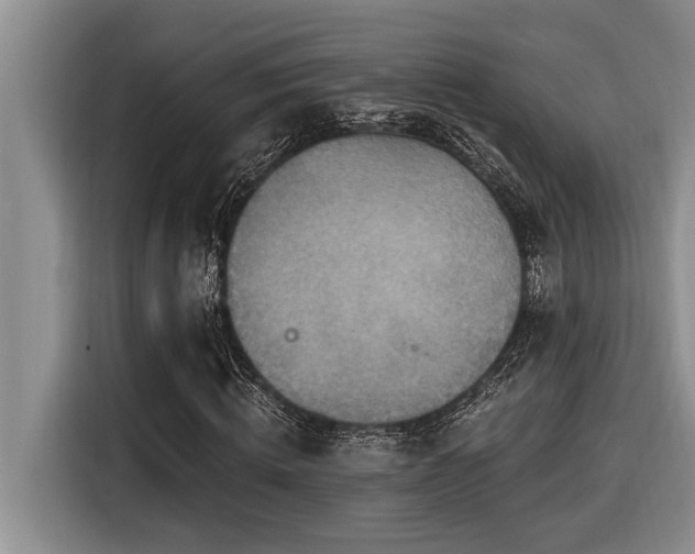 X0000116550820200912101411