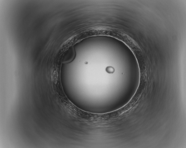 X0000116550821200912101411