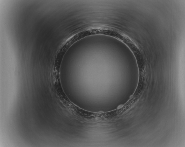 X0000116550822200912101411