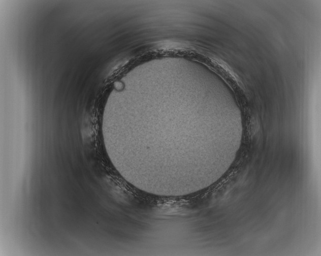 X0000116550824200912101411