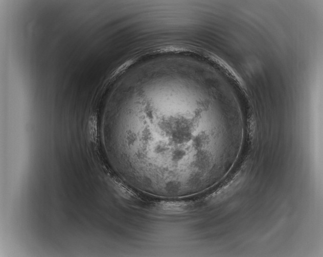 X0000116550825200912101411
