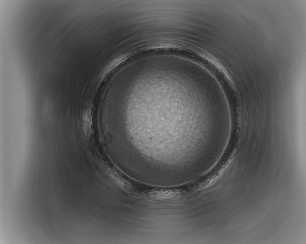 X0000116550826200912101411