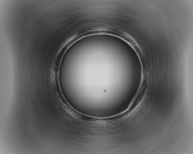 X0000116550827200912101411