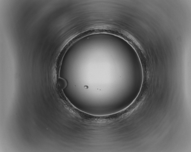 X0000116550829200912101411