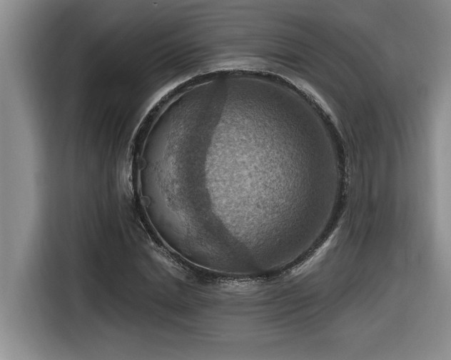 X0000116550830200912101411