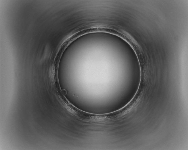 X0000116550831200912101411