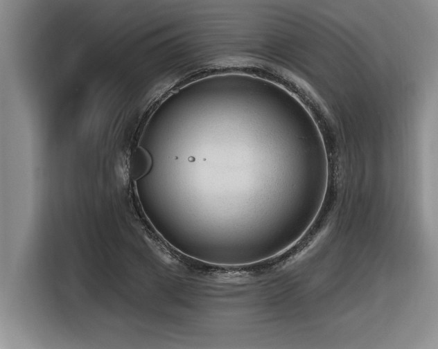 X0000116550833200912101412