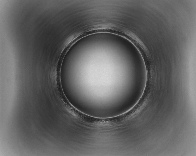 X0000116550834200912101412