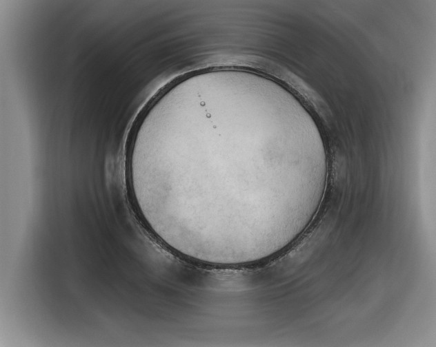 X0000116550836200912101412