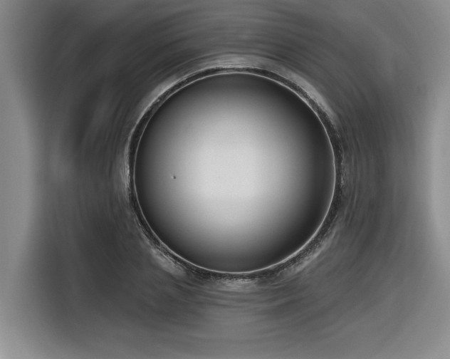 X0000116550837200912101412