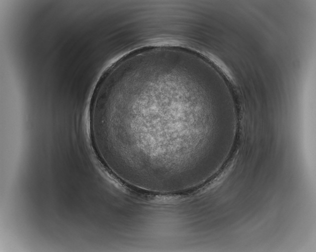 X0000116550840200912101412