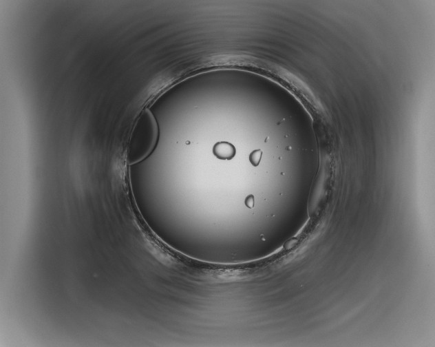 X0000116550841200912101412