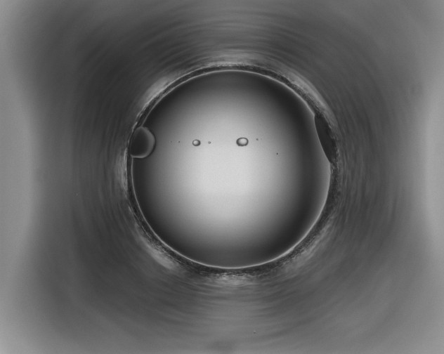 X0000116550842200912101412